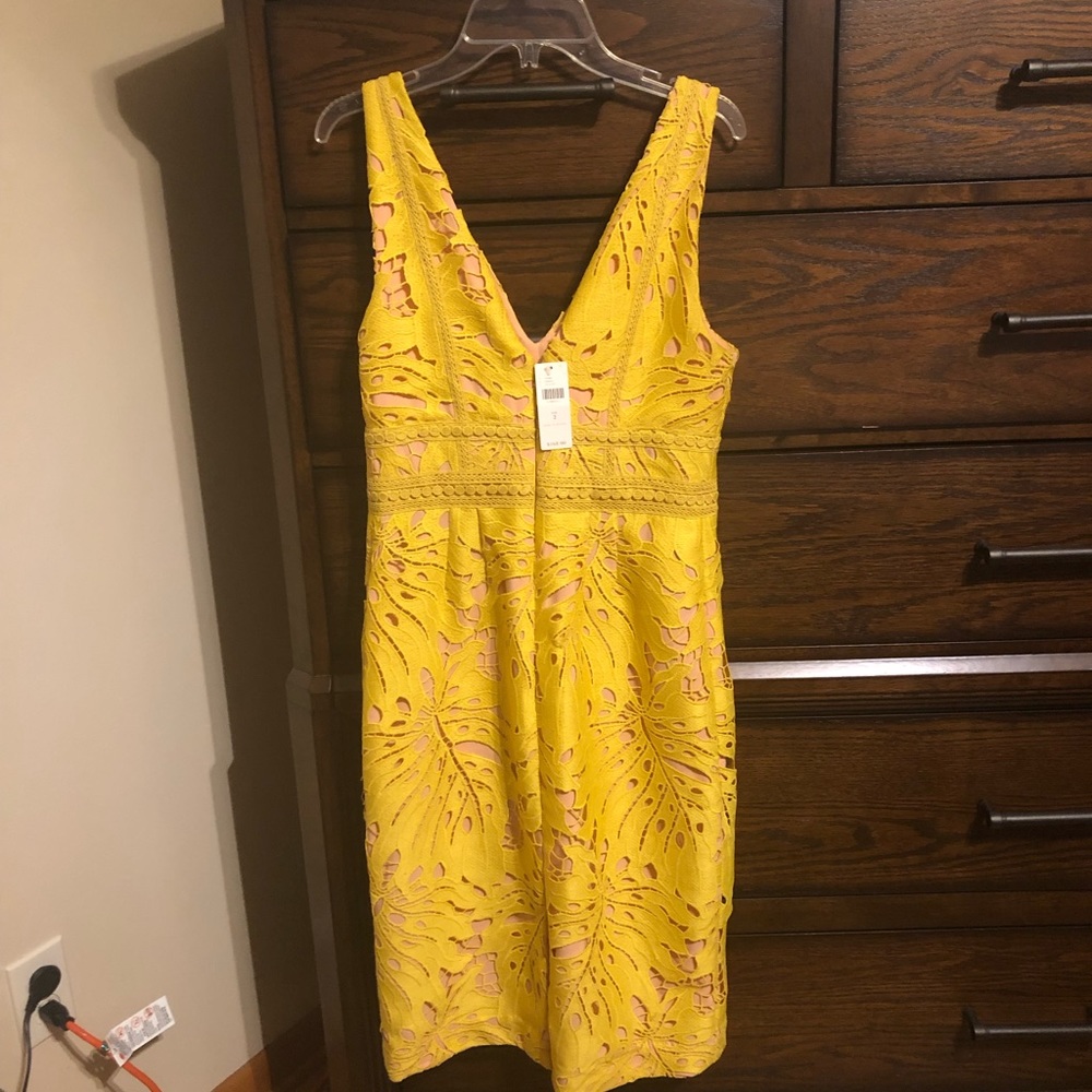 Anthropologie dress